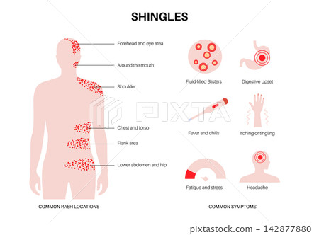 Clinical stages body layout Clinical stages body layout 142877880