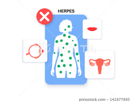 Female diagnostic interface cards Female diagnostic interface cards 142877895