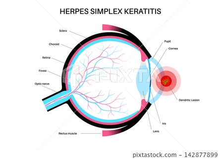 Internal structures pointer detailed Internal structures pointer detailed 142877899