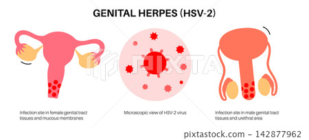 Microscopic cell anatomy comparison 142877962