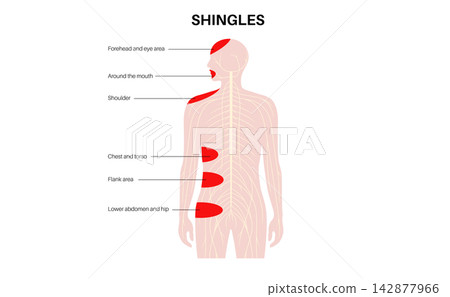 Nervous system location pointers Nervous system location pointers 142877966