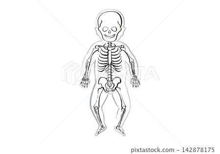 Organ Systems Sketch Organ Systems Sketch 142878175