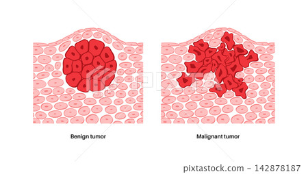 Cells structure sketch Cells structure sketch 142878187