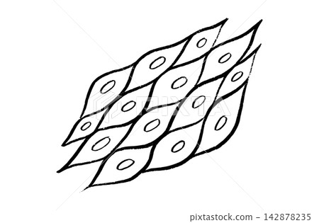 Cells structure sketch Cells structure sketch 142878235
