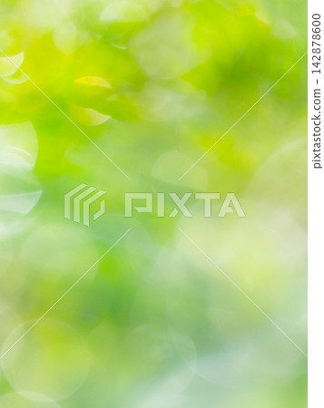 Sparkling pattern, fresh greenery, eco-friendly image Sparkling pattern, fresh greenery, eco-friendly image 142878600