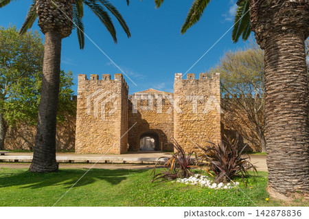 The historic stone gate and walls of Lagos Castle, framed by palm trees under a blue sky in Algarve Portugal The historic stone gate and walls of Lagos Castle, framed by palm trees under a blue sky in Algarve Portugal 142878836