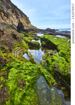Laguna Beach Rocky Cove Mossy Tidepools and Ocean Cave Entrance Laguna Beach Rocky Cove Mossy Tidepools and Ocean Cave Entrance 142878917