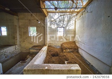 Student Group Mojave Desert Pool House Interior Decay Desert Shadows, Guests of the Desert Study Center 142879038