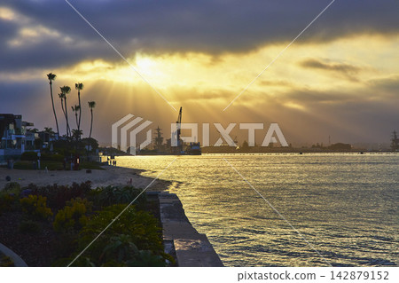 Golden Hour Coronado Park San Diego Bay with Navy Ships and Palm Trees Golden Hour Coronado Park San Diego Bay with Navy Ships and Palm Trees 142879152