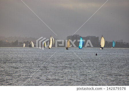 Sailboats with Colorful Sails on San Diego Bay with City Skyline in Soft Light Sailboats with Colorful Sails on San Diego Bay with City Skyline in Soft Light 142879376