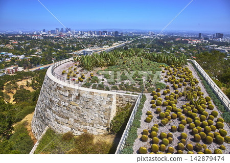 Getty Center Cactus Garden Overlooking Los Angeles Skyline and Urban Landscape Getty Center Cactus Garden Overlooking Los Angeles Skyline and Urban Landscape 142879474