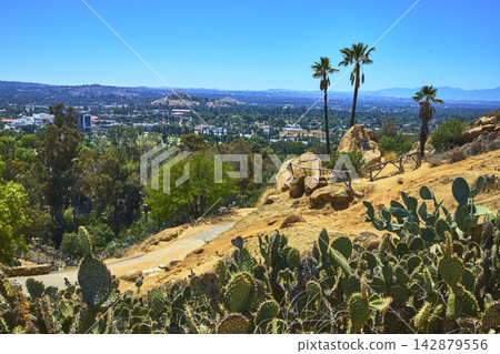 Mt Rubidoux Trail with Palm Trees and Cactus Overlooking San Bernardino Mt Rubidoux Trail with Palm Trees and Cactus Overlooking San Bernardino 142879556
