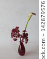 Purple flower arrangement 142879576