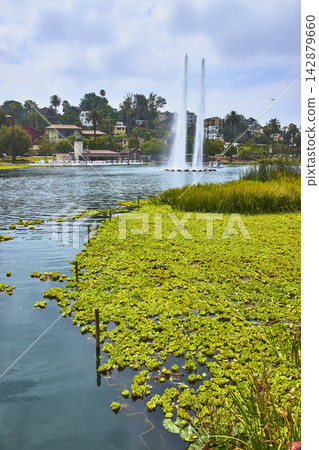 Echo Park Lake Fountains and Aquatic Plants with Los Angeles Hillside Homes Echo Park Lake Fountains and Aquatic Plants with Los Angeles Hillside Homes 142879660
