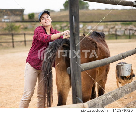 Female farmer taking care of horses Female farmer taking care of horses 142879729