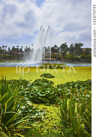 Echo Park Lake Fountain and Aquatic Plants with Palm Trees in Los Angeles California Echo Park Lake Fountain and Aquatic Plants with Palm Trees in Los Angeles California 142879745