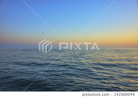 Golden Hour Ocean Horizon and Tranquil Water at Santa Monica California Golden Hour Ocean Horizon and Tranquil Water at Santa Monica California 142880049