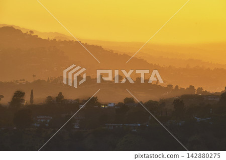 Golden Hour Hillside Layers and Trees in Griffith Park Los Angeles Golden Hour Hillside Layers and Trees in Griffith Park Los Angeles 142880275