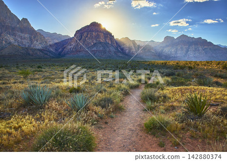 Sunburst Over Red Rock Mountain Desert Trail and Wild Flowers in Soft Evening Light Sunburst Over Red Rock Mountain Desert Trail and Wild Flowers in Soft Evening Light 142880374