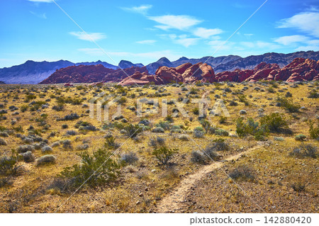 Pinnacles Trail Leading to Red Rock Formations in Vibrant Desert Landscape Pinnacles Trail Leading to Red Rock Formations in Vibrant Desert Landscape 142880420