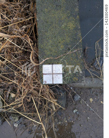A cross-shaped survey marker installed on concrete. 142880469