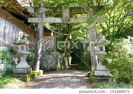 [Kanuma City, Iriawano "Kasoyama Shrine" - Torii gate leading to the worship hall] 142880671