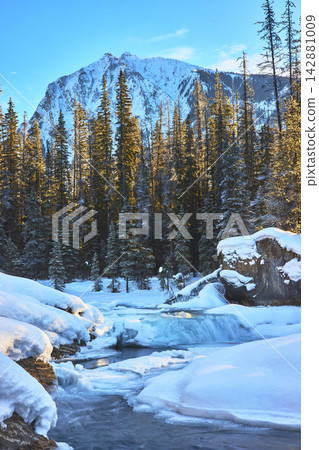 Frozen River and Waterfall Sunrise in Snowy Forest with Mountain Alberta Winter Frozen River and Waterfall Sunrise in Snowy Forest with Mountain Alberta Winter 142881009