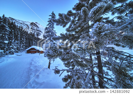 Frost Covered Pine Branches Snow Cabin and Mountain View in Alberta Winter Frost Covered Pine Branches Snow Cabin and Mountain View in Alberta Winter 142881092