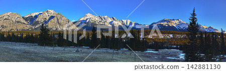 Panorama Snow Capped Rocky Mountains Evergreen Forest and Winter Field in Sunlight Panorama Snow Capped Rocky Mountains Evergreen Forest and Winter Field in Sunlight 142881130