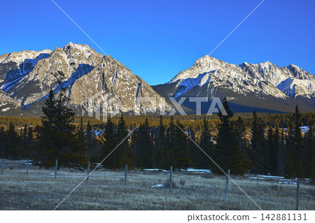 Snow Capped Rocky Mountains Pine Forest and Fenced Field in Winter Light Snow Capped Rocky Mountains Pine Forest and Fenced Field in Winter Light 142881131