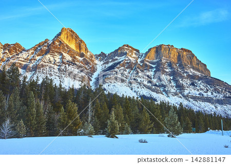 Snow Covered Mountain Peaks and Pine Forest at Sunrise in Winter Snow Covered Mountain Peaks and Pine Forest at Sunrise in Winter 142881147