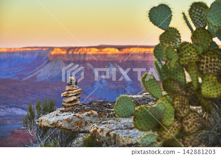 Cactus and Rock Cairn at Sunrise with Grand Canyon Cliffs in Arizona Cactus and Rock Cairn at Sunrise with Grand Canyon Cliffs in Arizona 142881203