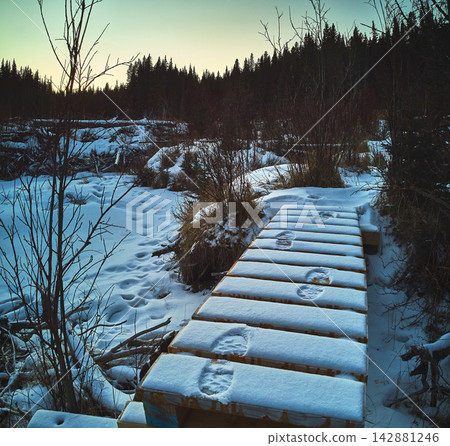Aerial Bridge With Footsteps In Snowy Winter Landscape And Forest Panorama Aerial Bridge With Footsteps In Snowy Winter Landscape And Forest Panorama 142881246