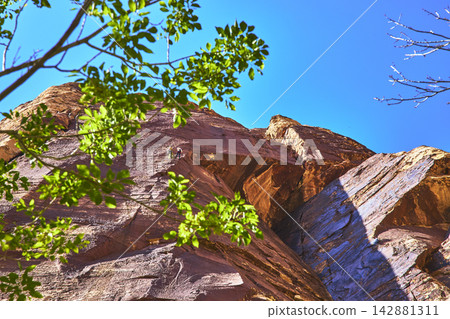 Red Rock Climbers Ascend Sandstone Cliff Framed by Foliage in Nevada Blue Sky Red Rock Climbers Ascend Sandstone Cliff Framed by Foliage in Nevada Blue Sky 142881311