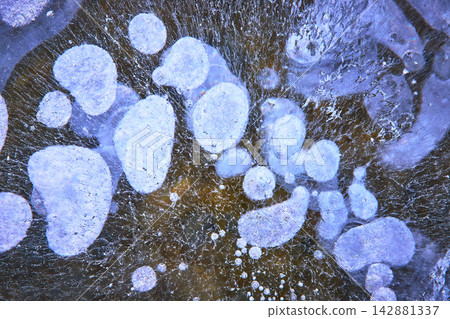 Frozen Methane Bubbles and Cracked Ice Texture Winter Abstract Nature Close Up Frozen Methane Bubbles and Cracked Ice Texture Winter Abstract Nature Close Up 142881337