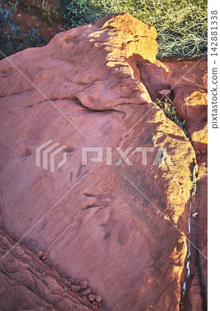 Dinosaur Tracks in Red Sandstone with Desert Vegetation and Warm Sunlight Dinosaur Tracks in Red Sandstone with Desert Vegetation and Warm Sunlight 142881338