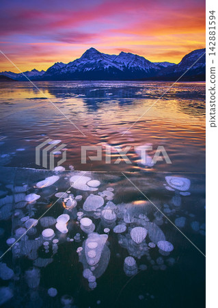 Frozen Methane Bubbles on Abraham Lake at Sunset with Snowy Mountain Backdrop 142881594
