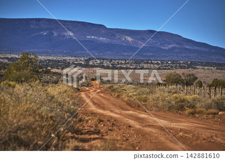 Dirt Road and Fence in Remote Arizona Desert with Mount Trumbull in Background Dirt Road and Fence in Remote Arizona Desert with Mount Trumbull in Background 142881610