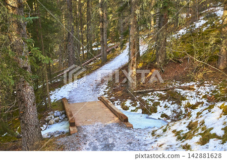 Winter Forest Path Wooden Bridge and Snowy Trail in Alberta Winter Forest Path Wooden Bridge and Snowy Trail in Alberta 142881628