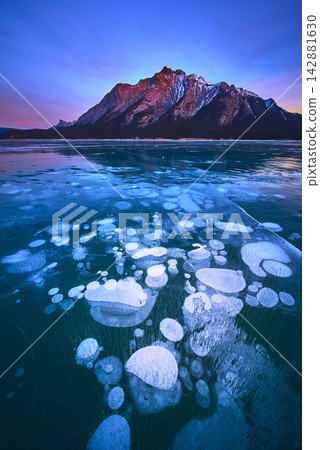 Frozen Methane Bubbles and Majestic Mountain at Sunset on Abraham Lake Winter Frozen Methane Bubbles and Majestic Mountain at Sunset on Abraham Lake Winter 142881630