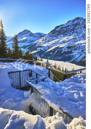 Observation Deck Snowy Mountain Peaks and Frozen Peyto Lake Winter Landscape Observation Deck Snowy Mountain Peaks and Frozen Peyto Lake Winter Landscape 142881749