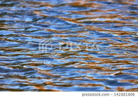Golden Hour Reflections on Pond Water Ripples in Soft Natural Light Golden Hour Reflections on Pond Water Ripples in Soft Natural Light 142881806