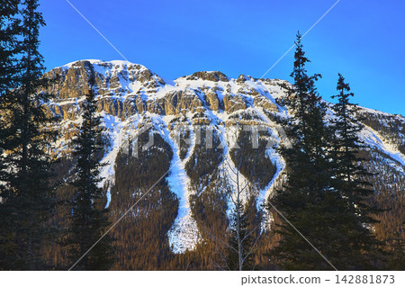 Snow Capped Mountain Peaks and Evergreen Forest in Winter Under Blue Sky Snow Capped Mountain Peaks and Evergreen Forest in Winter Under Blue Sky 142881873