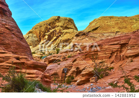 Red Sandstone Formations and Canyon Trail with Blue Sky in Valley of Fire Red Sandstone Formations and Canyon Trail with Blue Sky in Valley of Fire 142881952