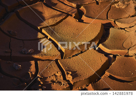 Desert Mud Crack Texture Close Up Arid Ground St Thomas Nevada Desert Mud Crack Texture Close Up Arid Ground St Thomas Nevada 142881978