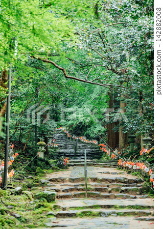 [Higashiomi City, Shiga Prefecture] Kongorinji Temple: The approach lined with a thousand Jizo statues and fresh greenery 142882008