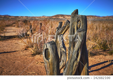 Weathered Wooden Fence Posts and Desert Path in St Thomas Ghost Town Nevada 142882100