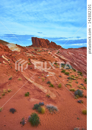 Red Sandstone Formations and Desert Plants under Vibrant Blue Sky in Nevada 142882101