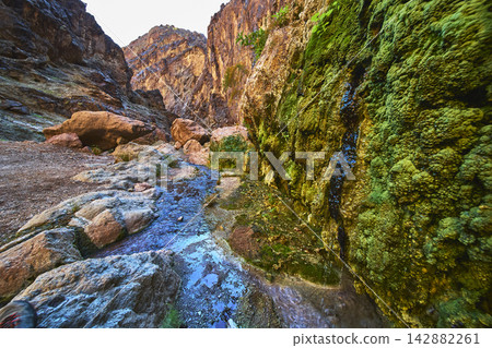 Goldstrike Hot Spring Geothermal Stream and Mossy Canyon Rocks Nevada Goldstrike Hot Spring Geothermal Stream and Mossy Canyon Rocks Nevada 142882261