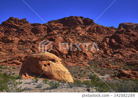Valley of Fire Red Sandstone Formations and Desert Vegetation Under Blue Sky 142882289